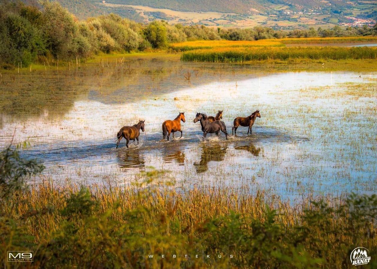 Clisura Dunarii - Casa Giovanni Moldova Veche Luaran gambar